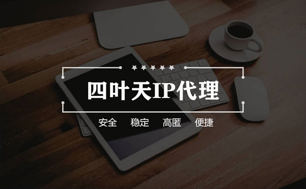 【姜堰代理IP】如何快速搭建代理IP？怎么检查代理的效果？